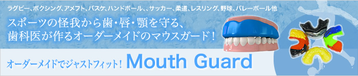 公式案内画像