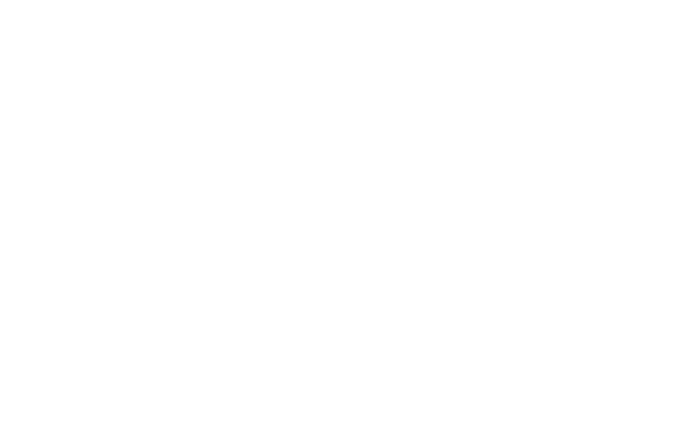 株式会社アライ の写真