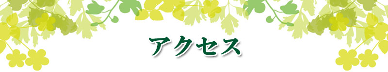 公式案内画像