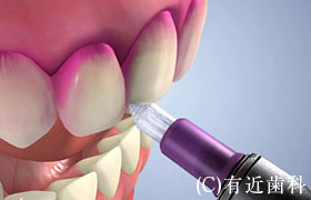 公式案内画像