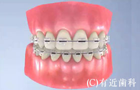公式案内画像