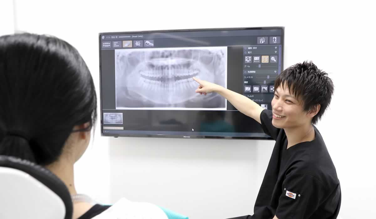公式案内画像