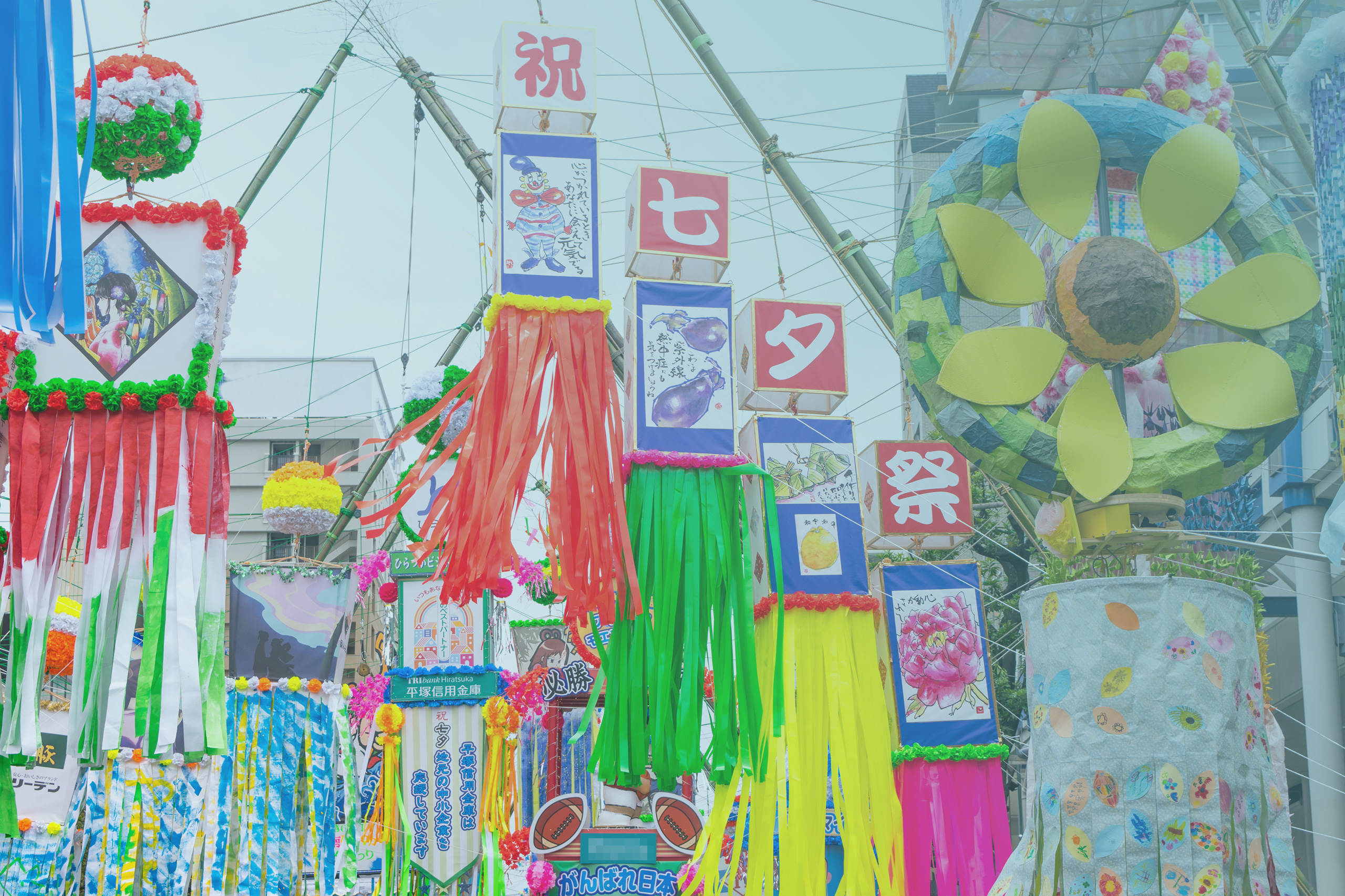 公式案内画像