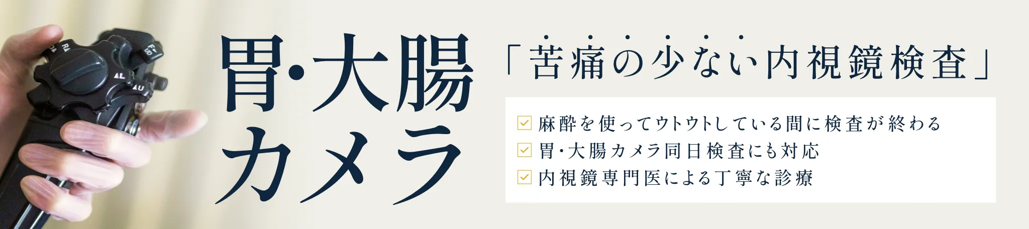 公式案内画像
