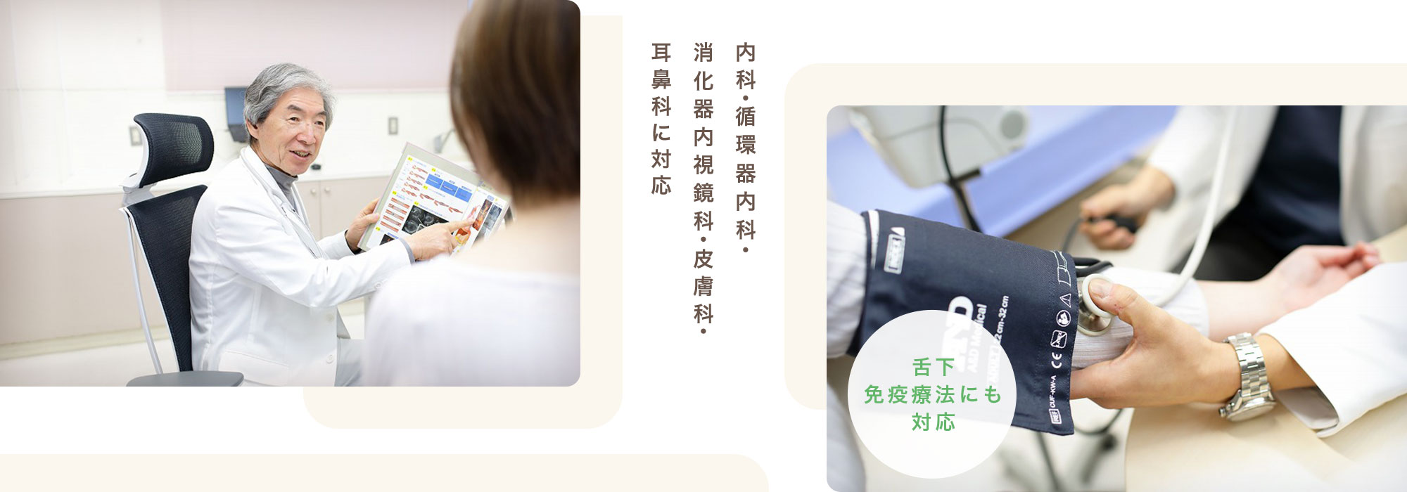 公式案内画像