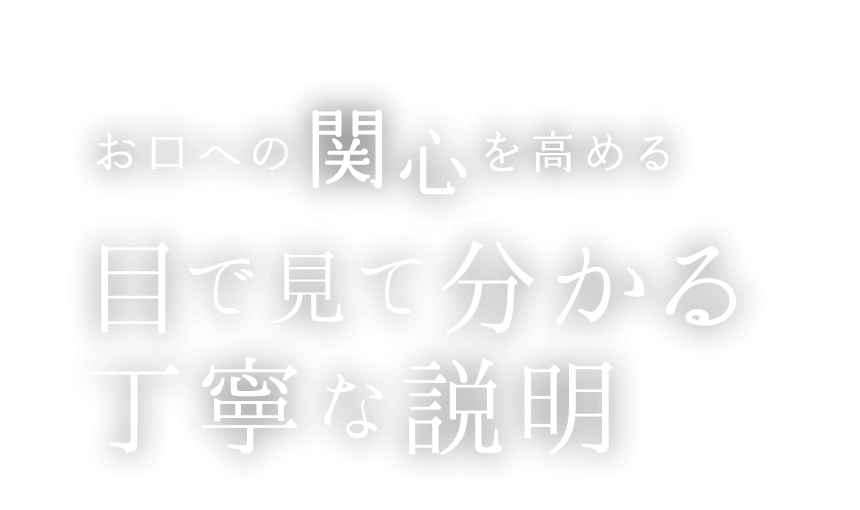 公式案内画像
