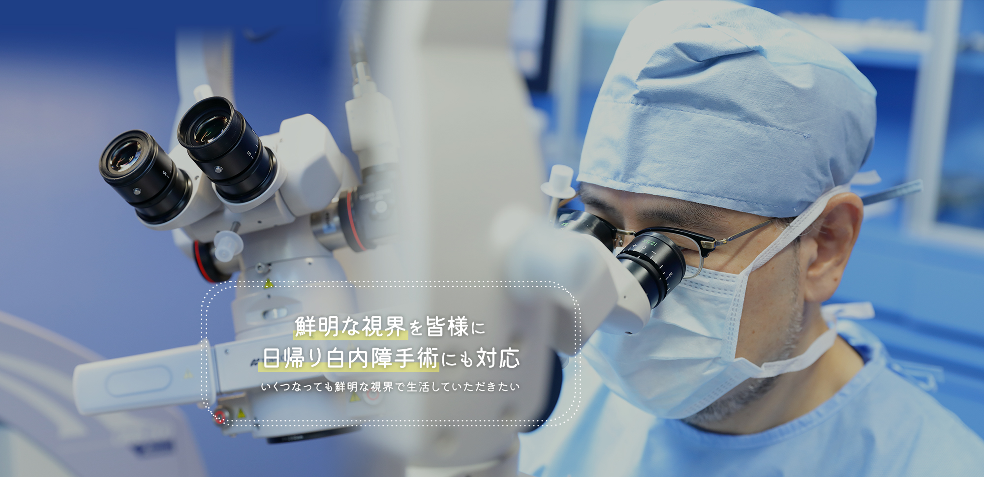 公式案内画像