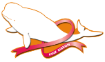 ベルーガクリニック
