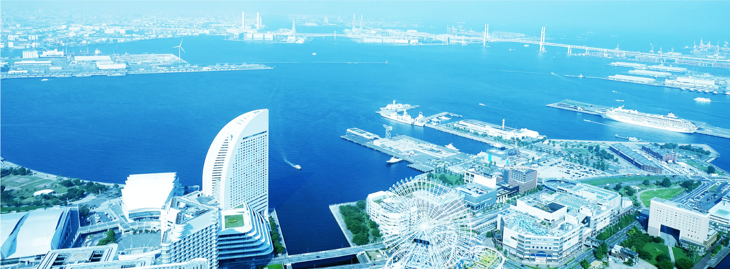 公式サイト由来のBOISシステム文脈画像