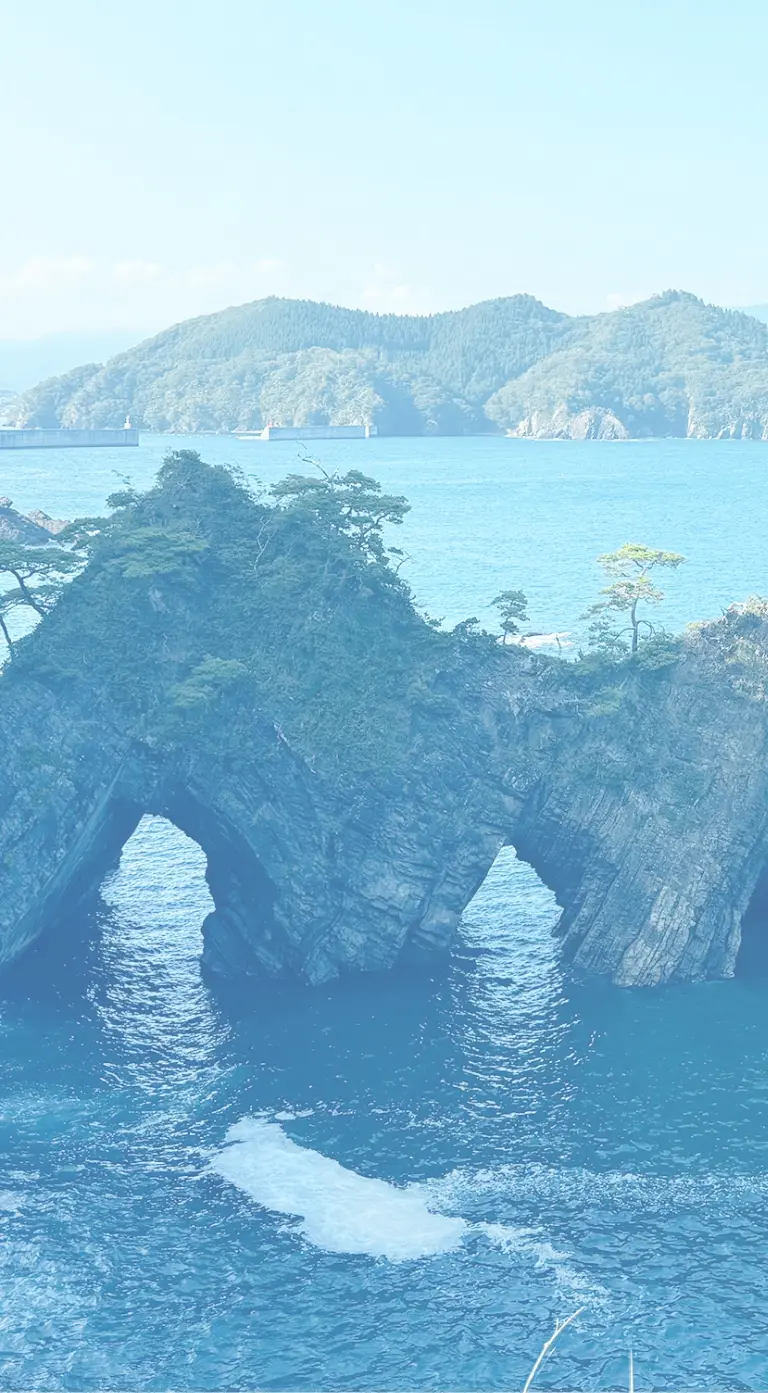 公式案内画像