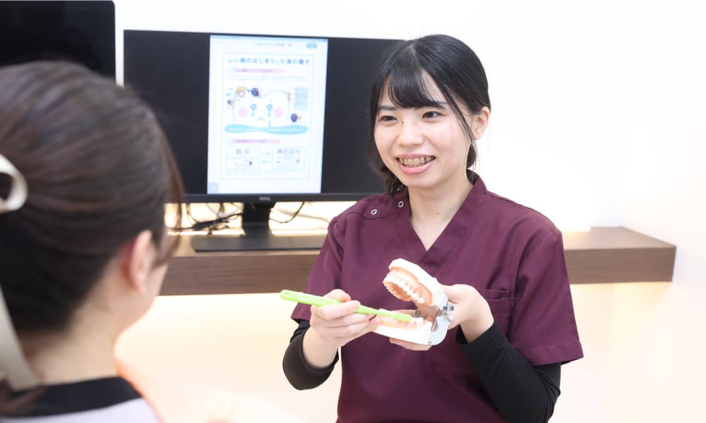 公式案内画像