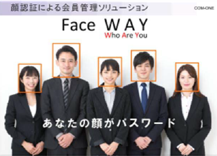 公式案内画像