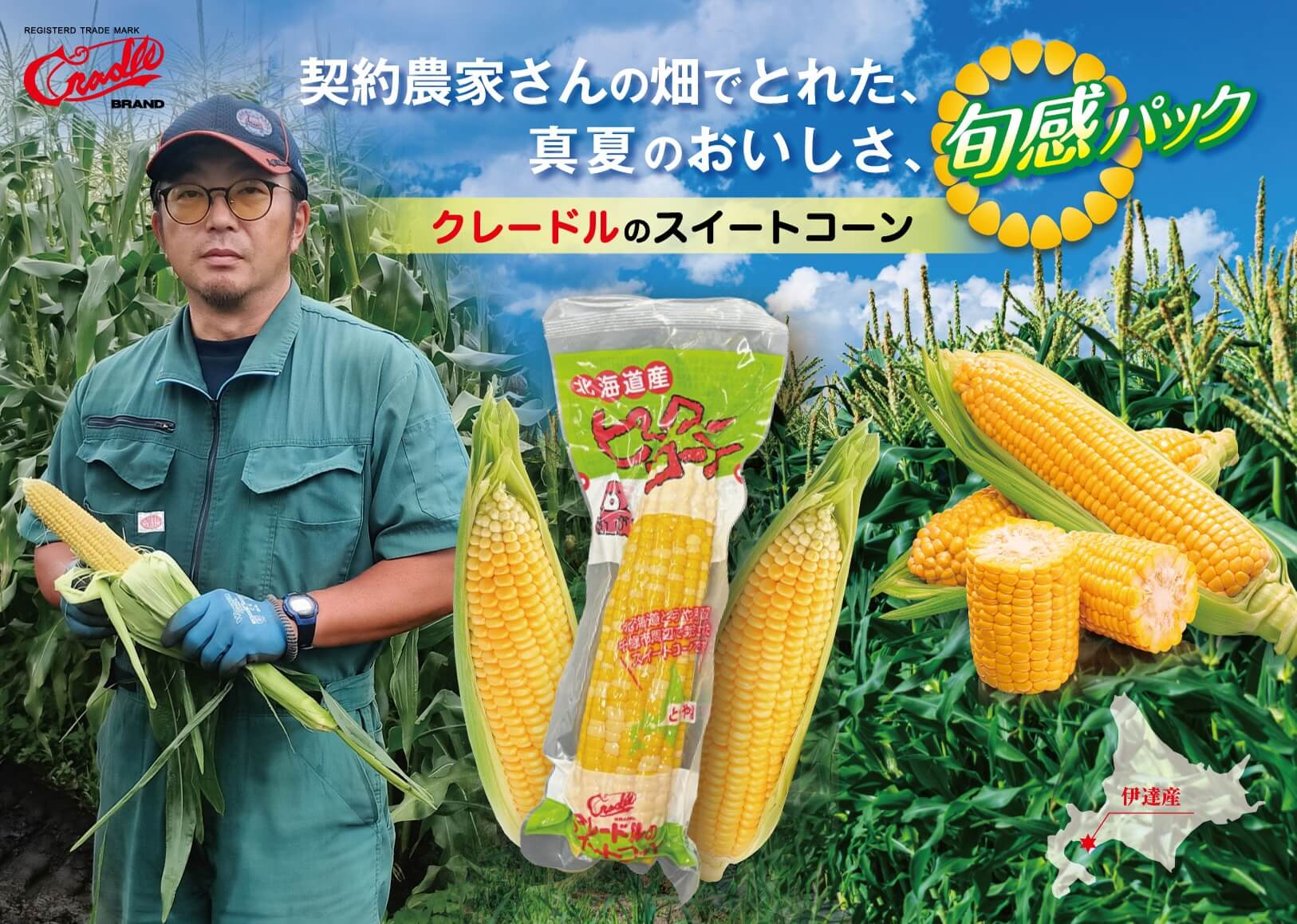 公式案内画像