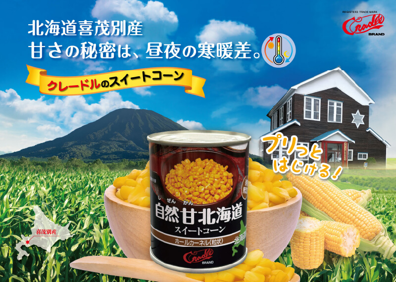 公式案内画像