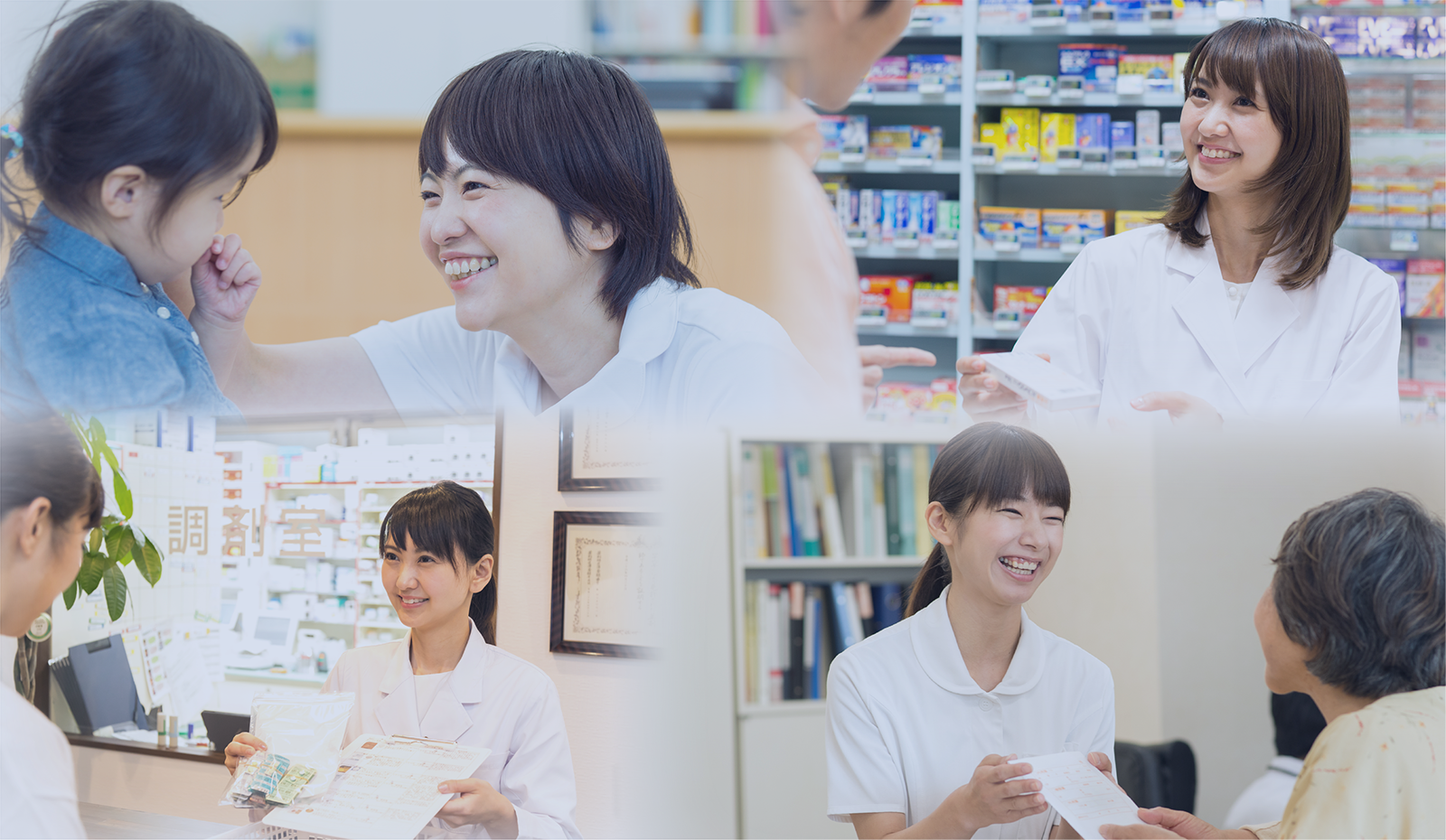 公式案内画像