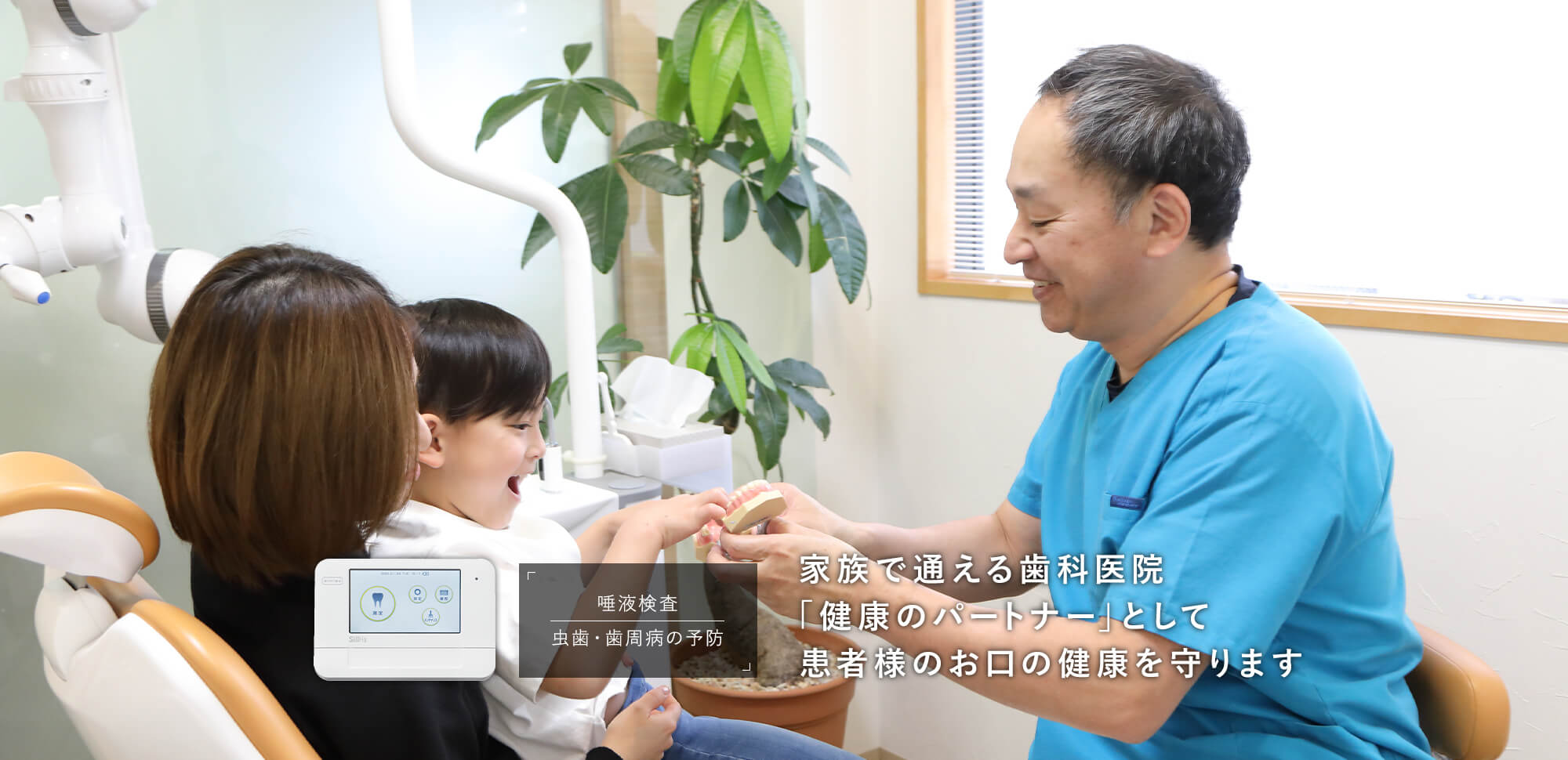 公式案内画像