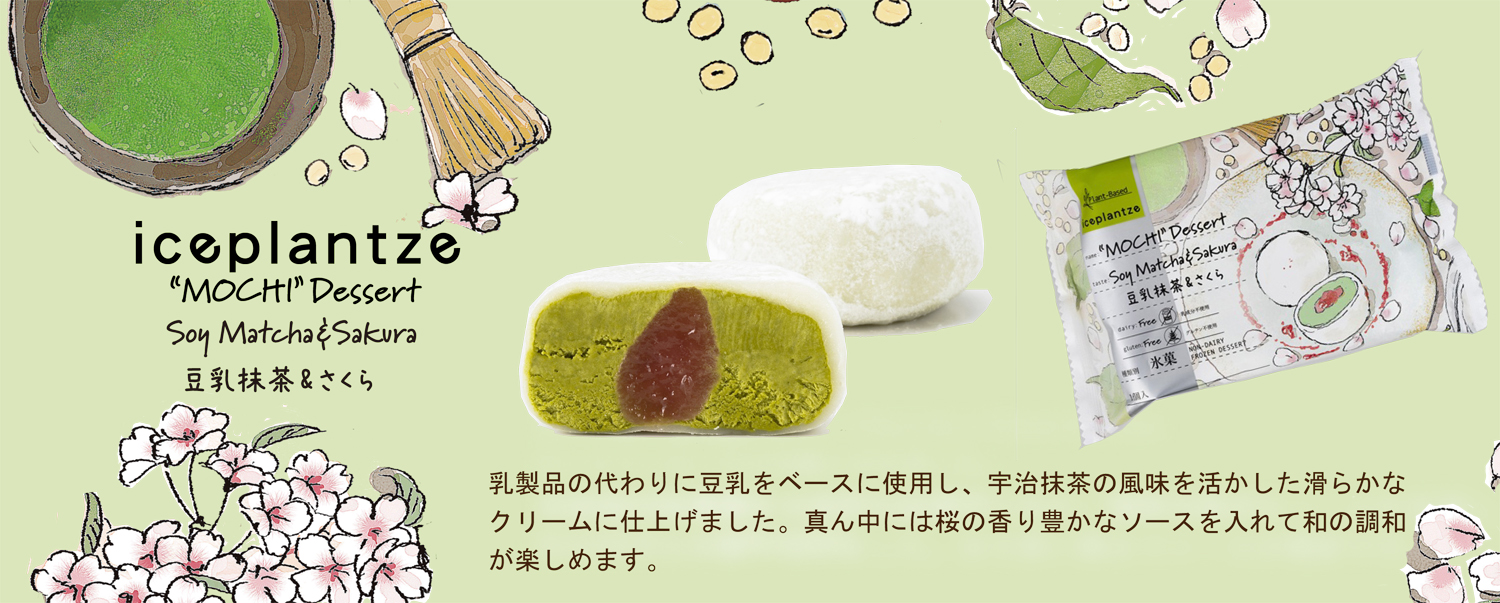 公式案内画像