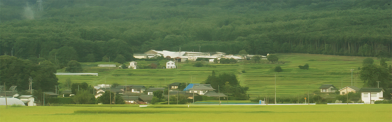 公式案内画像