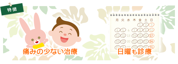 公式案内画像