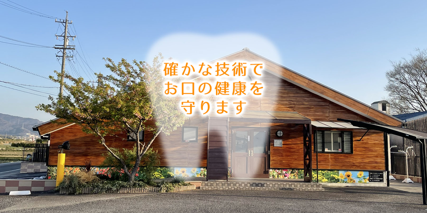 公式案内画像