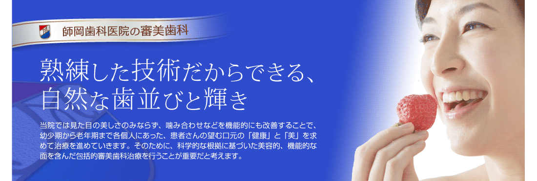 公式案内画像
