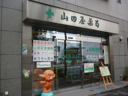 公式案内画像