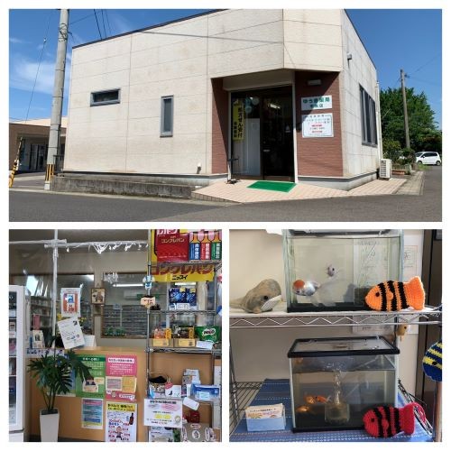 ゆうき薬局　市来店 の写真