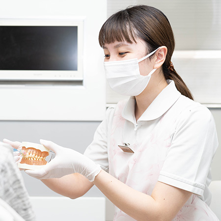 公式案内画像