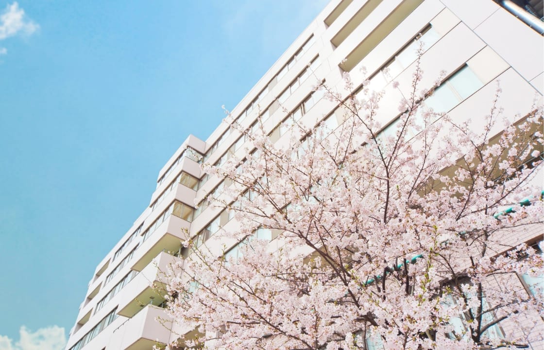 桜と永寿総合病院の建物外観