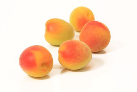 食品素材部門