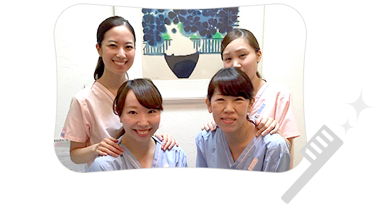 公式案内画像