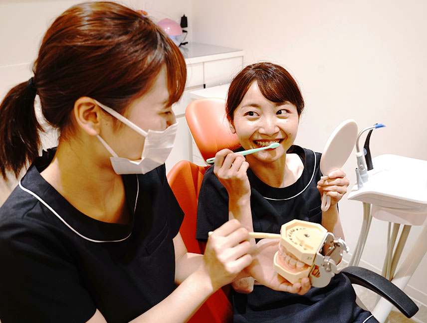 公式案内画像