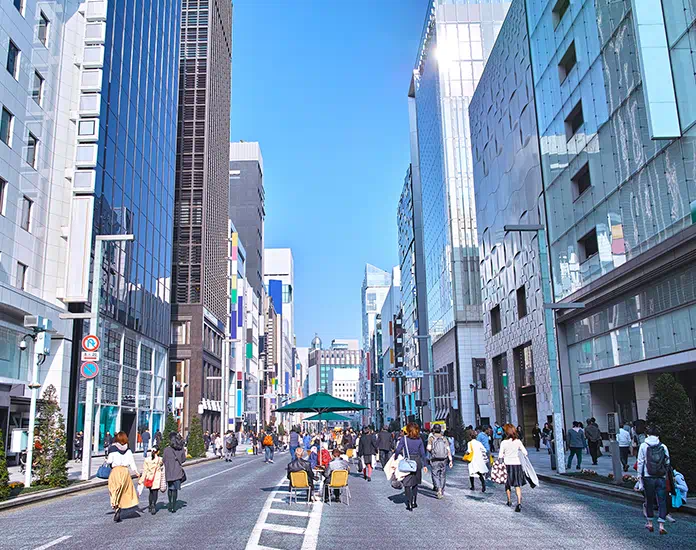 公式案内画像