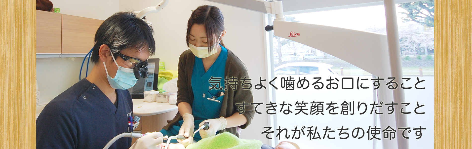 公式案内画像