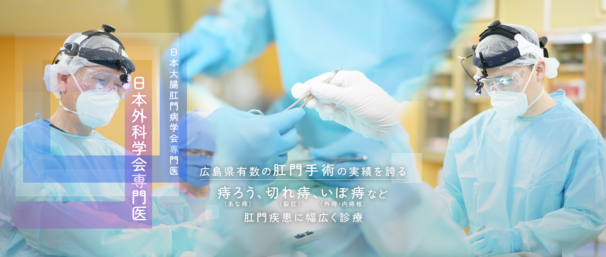 公式案内画像