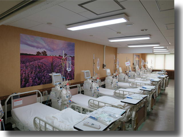 公式案内画像