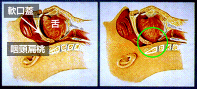 公式案内画像