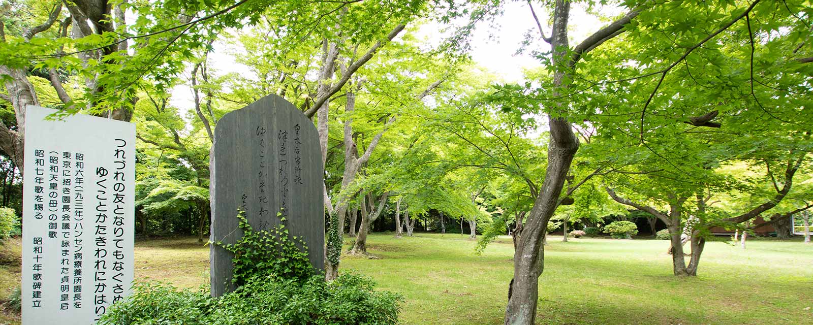 公式案内画像