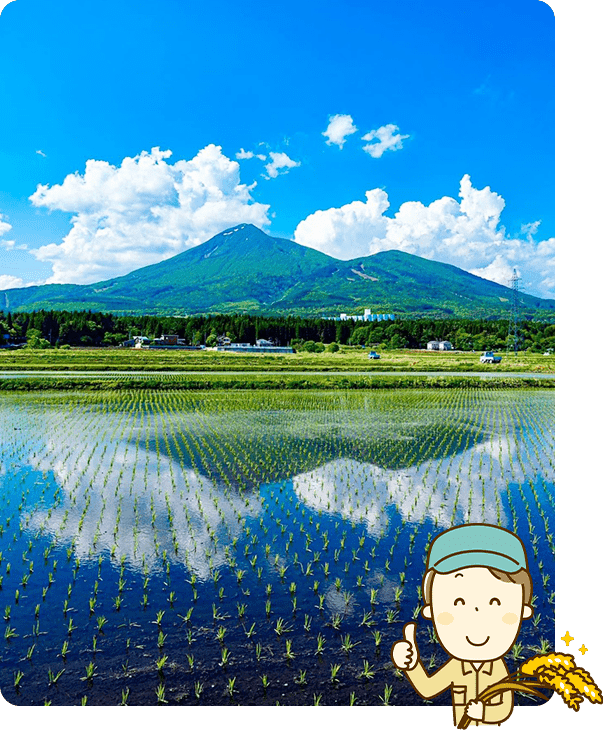 公式案内画像