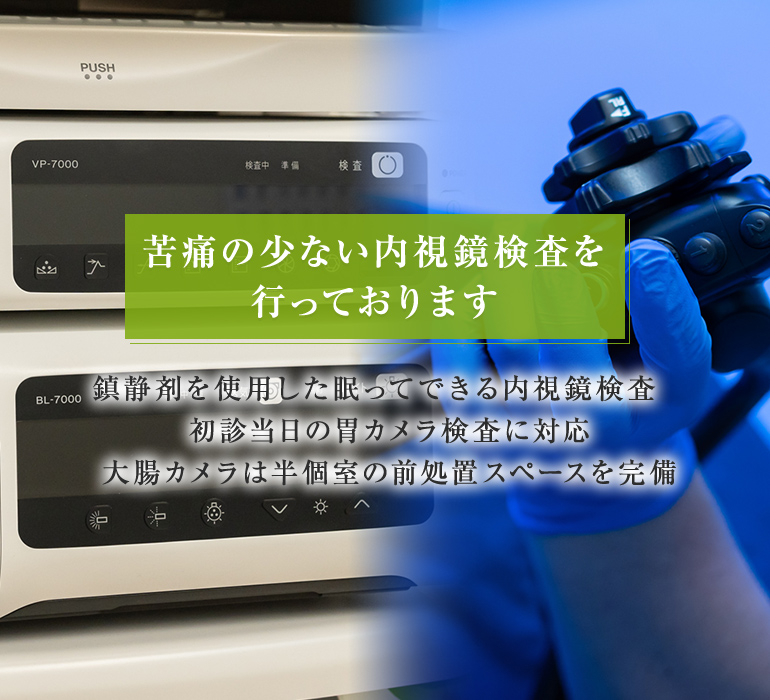 公式案内画像