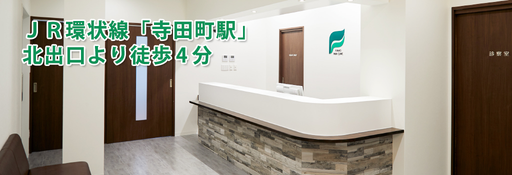 公式案内画像