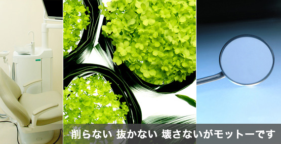 銀座デンタルデザインクリニック の写真