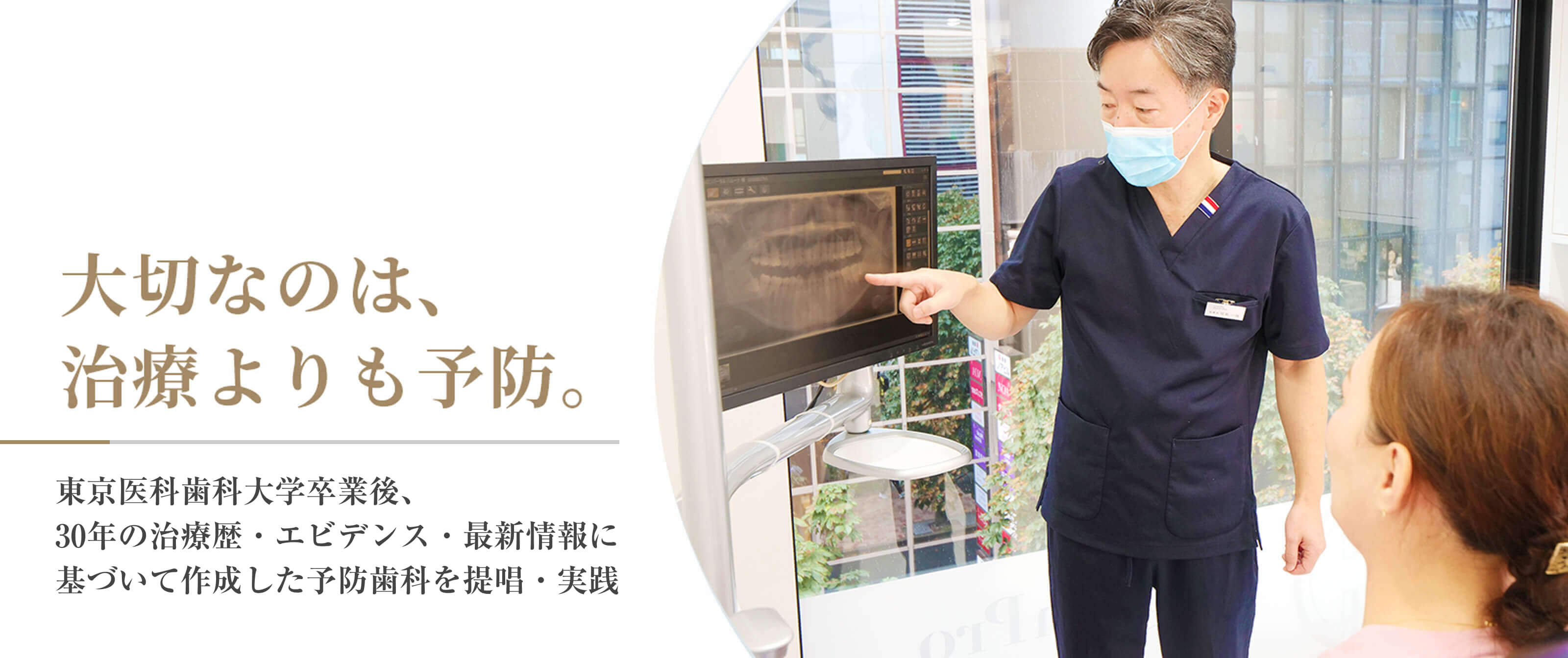 公式案内画像