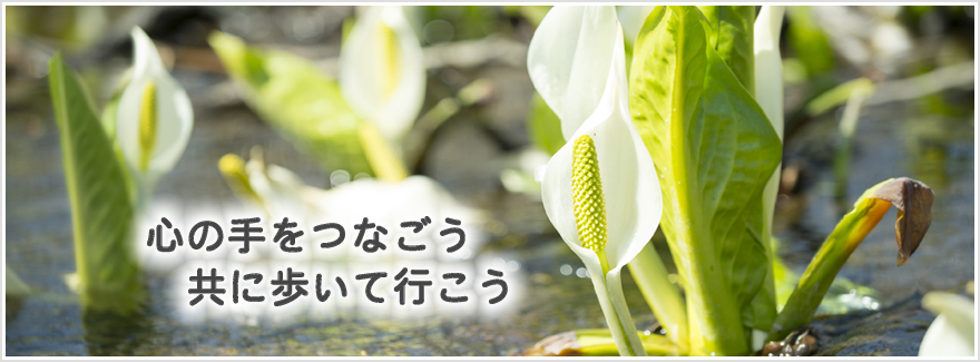 公式案内画像
