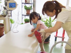 公式案内画像