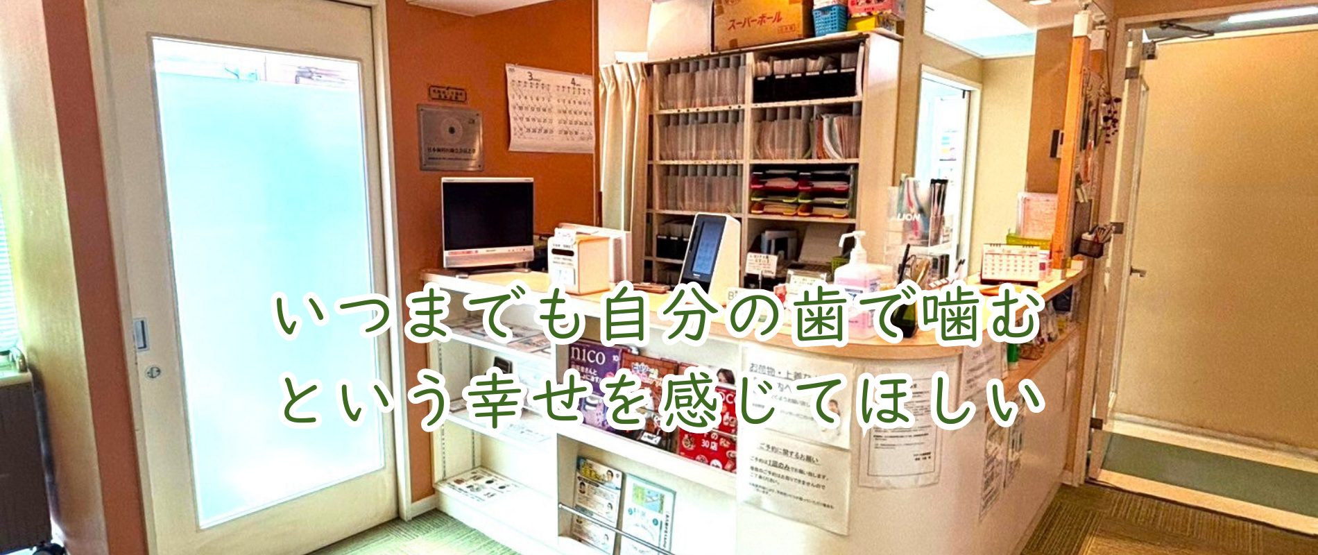 公式案内画像