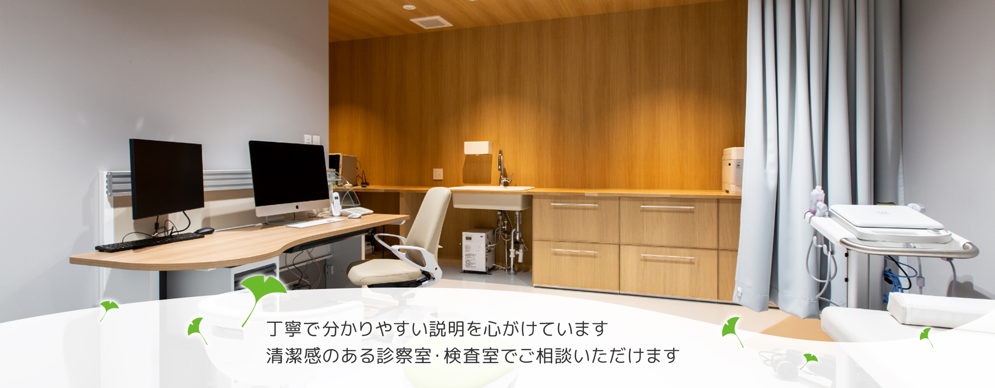 公式案内画像