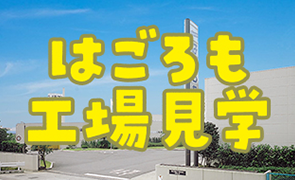 公式案内画像