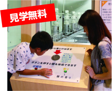 公式案内画像