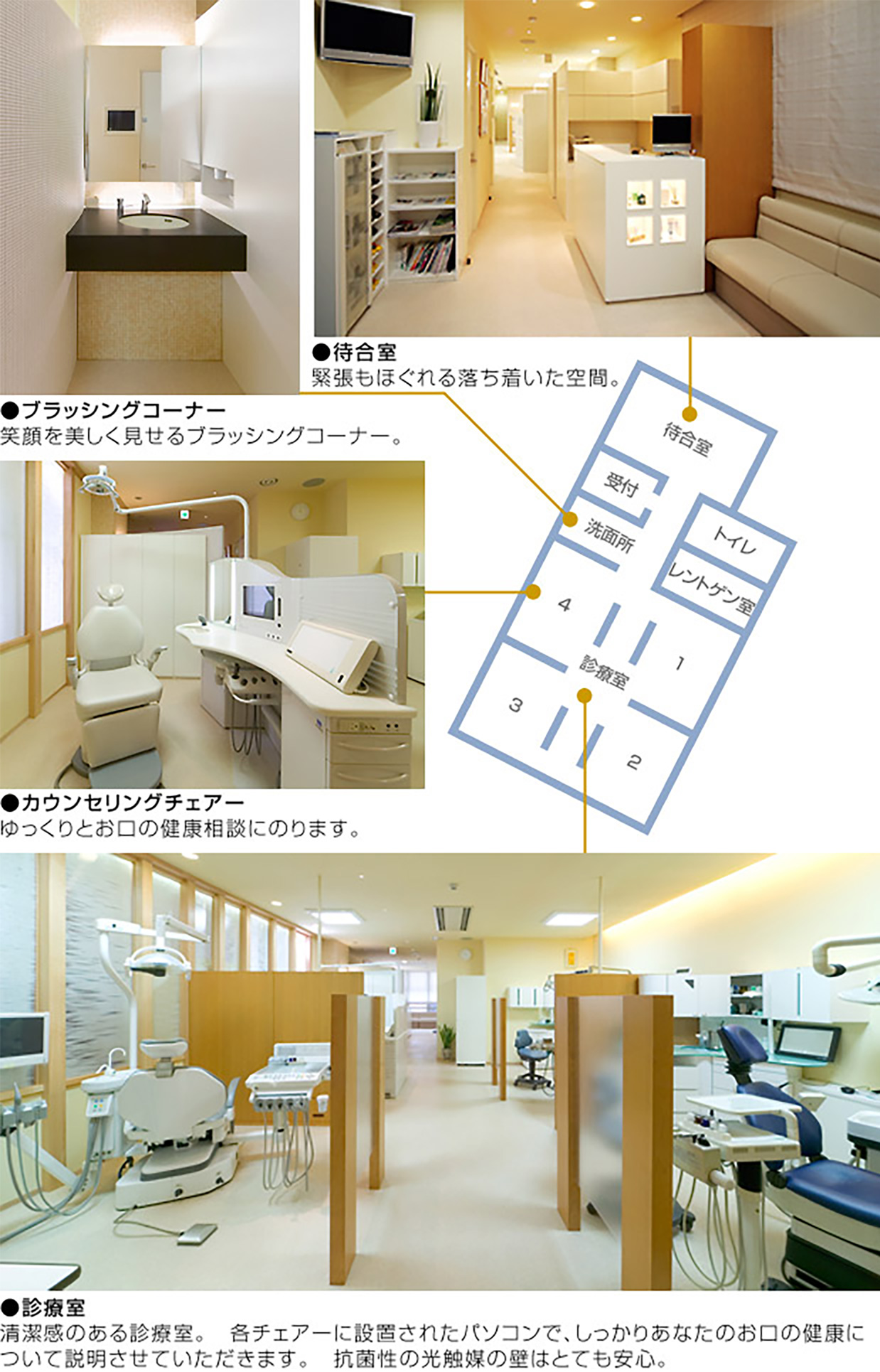 公式案内画像